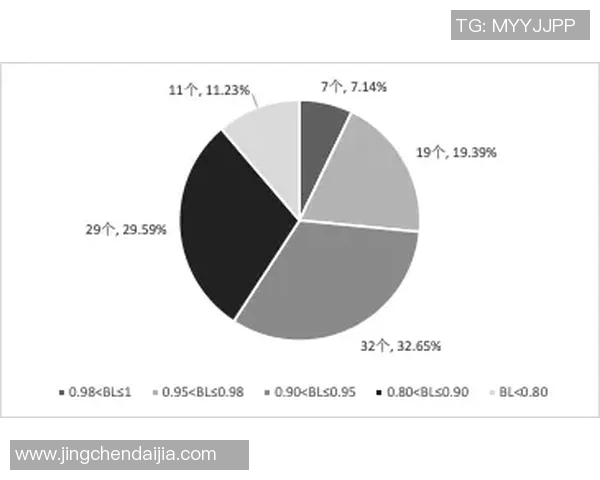 明星代言的风险与收益分析及其对品牌影响的综合评估
