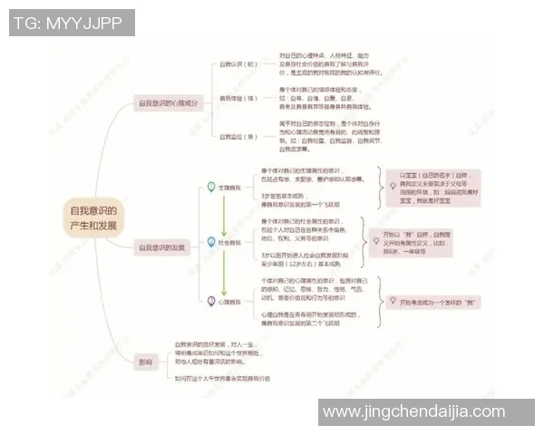 国风潮流持续升温的原因与文化传承的深远影响分析